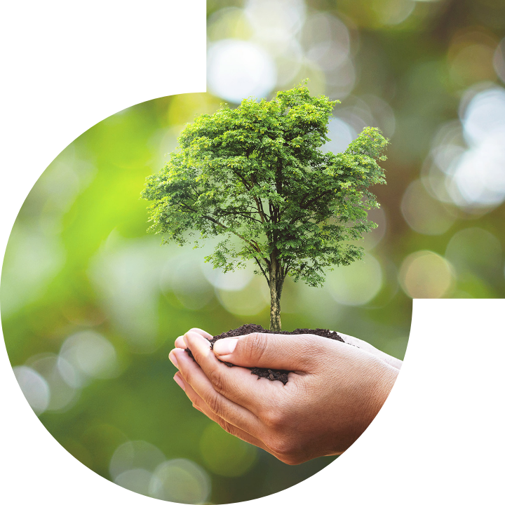 關懷人類、文化、環境與社會